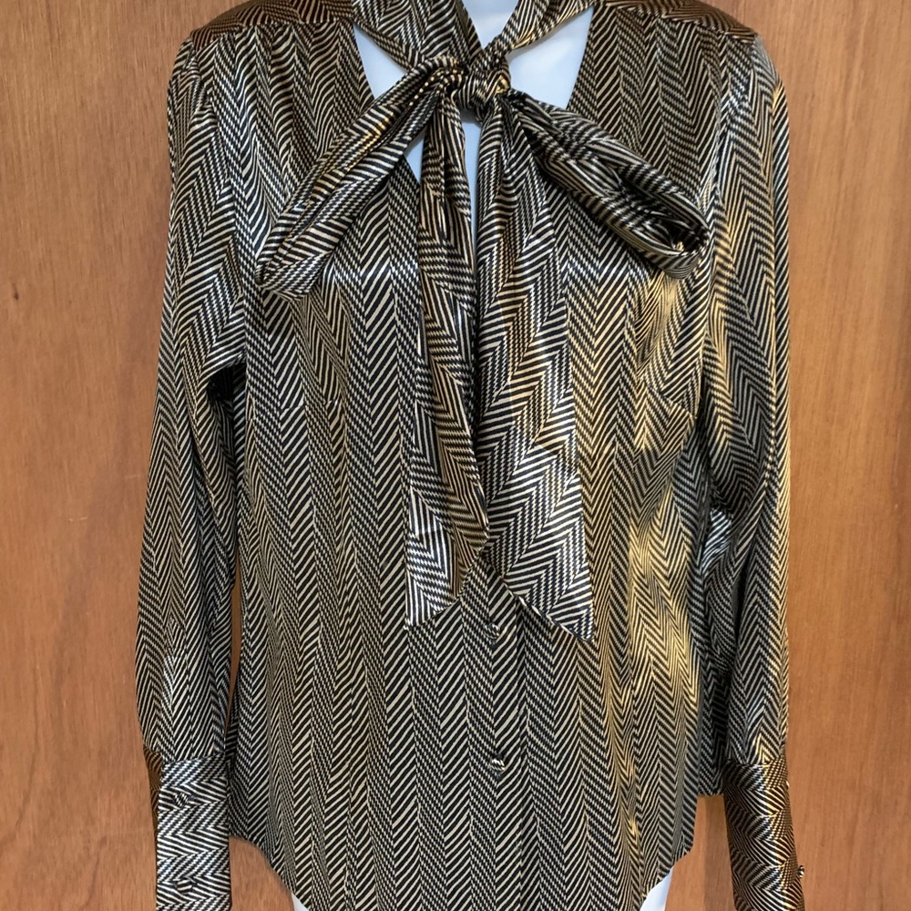 Dressy Blouse BCBG